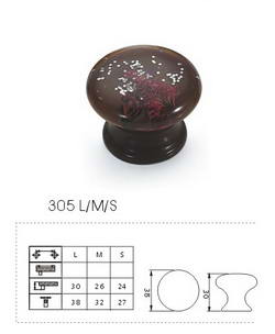 305 LMS